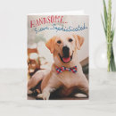 Suche nach kompliment karten Fotografie