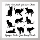 Suche nach spay poster Kätzchen