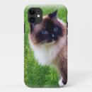 Suche nach ragdoll katzen iphone hüllen Kätzchen