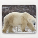 Suche nach ursus maritimus mousepads Eisbär