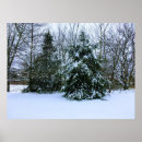 Suche nach fresh poster Fotografie