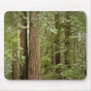 Suche nach muir mousepads Kalifornien