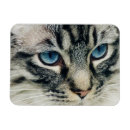 Suche nach katzengesicht magnete Katzenliebhaber