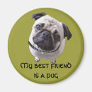 Suche nach pug magnete Mops