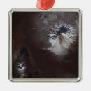 Suche nach asche ornamente Raum