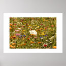Suche nach blumenwiese poster Für alle