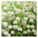 Suche nach springen fliesen Jede person