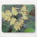 Suche nach spinnennetze mousepads Web