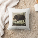 Suche nach braunbär kissen Für alle