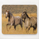 Suche nach ranch mousepads Bauernhof