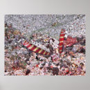 Suche nach duo poster Fotografie