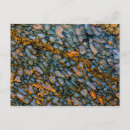 Suche nach gemstone postkarten Dinosaur