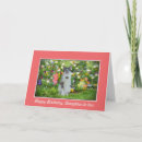 Suche nach blaue augen karten Katzen