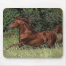 Suche nach stallion mousepads Bob langrish