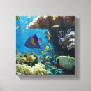 Suche nach aquarium leinwandbilder Bunt