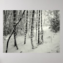 Suche nach black and white photography poster Landscape