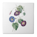 Suche nach winden untersetzer Botanisch