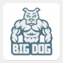 Suche nach bodybuilder aufkleber Fitnessraum