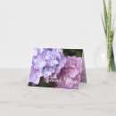 Suche nach lila hydrangeas karten Blau