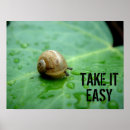 Suche nach snail poster Schnecke