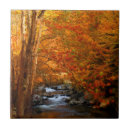 Suche nach berg fliesen Wald