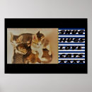 Suche nach liebe meine katze poster Katzen