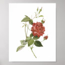 Suche nach indica poster Blume