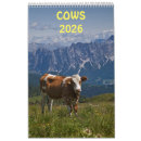 Suche nach kälber kalender Kalb