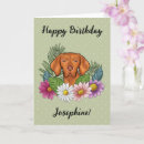 Suche nach ungarisch karten Ungarischer zeiger