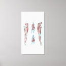 Suche nach beine leinwandbilder Anatomisch