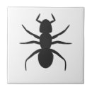 Suche nach ameisen fliesen Insekt