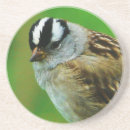 Suche nach wilder vogel untersetzer Singvogel