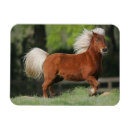 Suche nach miniatur magnete Bob langrish