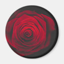 Suche nach samt magnete Rose