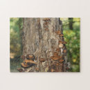 Suche nach pilz puzzle Für sie