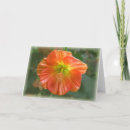 Suche nach ahorn karten Fotografie