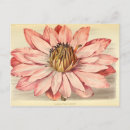 Suche nach decoupage postkarten Entmutigen