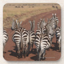 Suche nach kenia untersetzer Natur