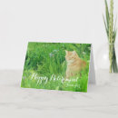 Suche nach tierärzte karten Für sie