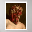 Suche nach necken sie poster Anatomy