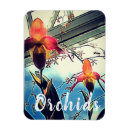 Suche nach orchidee magnete Fotografie