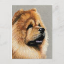 Suche nach chow chow hund postkarten Haustier