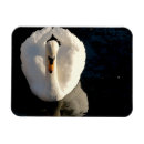 Suche nach teiche magnete Reflexion