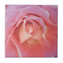 Suche nach pfirsichfarben fliesen Rosa