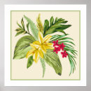 Suche nach gelber hibiskus poster Hawaii