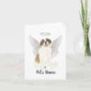 Suche nach st bernard karten Heiliger