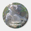 Suche nach gebürtiger baum Australien