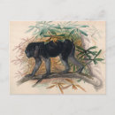 Suche nach ape postkarten Vintag