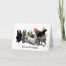 Suche nach tragen karten Katzen