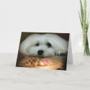 Suche nach malz karten Für alle